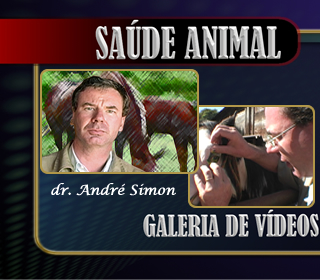 Saúde Animal