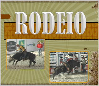 Galeria de Vídeos de Rodeios